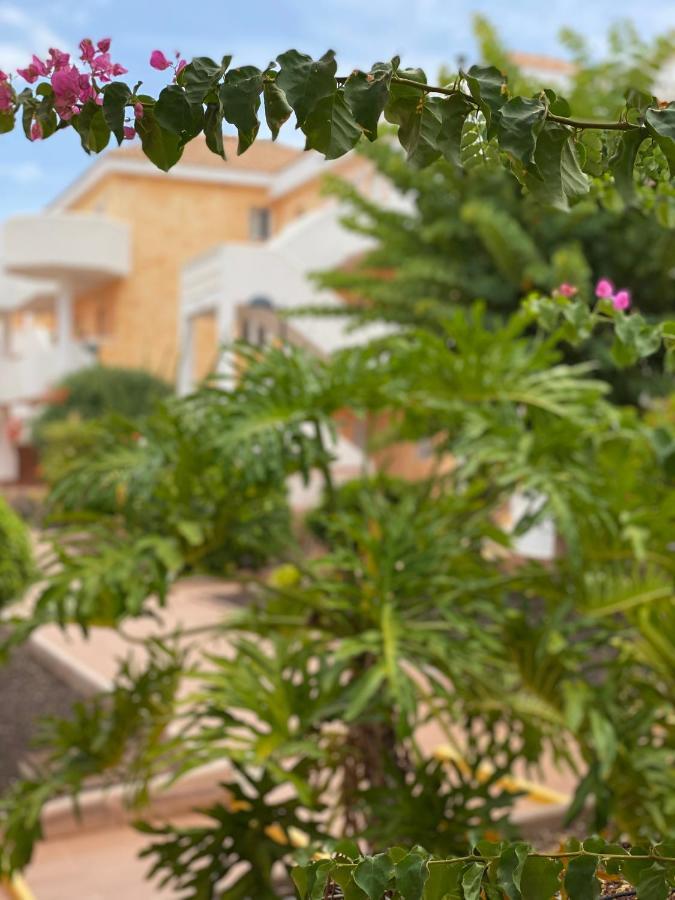 Apartment Golden Ocean View & Pool Los Cristianos (Tenerife)