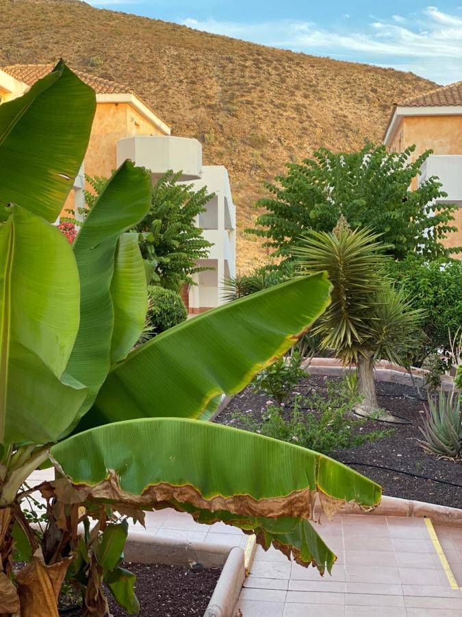 Golden Ocean View & Pool Los Cristianos (Tenerife)