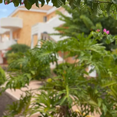 Golden Suite Ocean View & Pool Los Cristianos  Extérieur photo