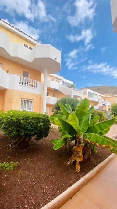 Golden Ocean View & Pool * Los Cristianos (Tenerife)